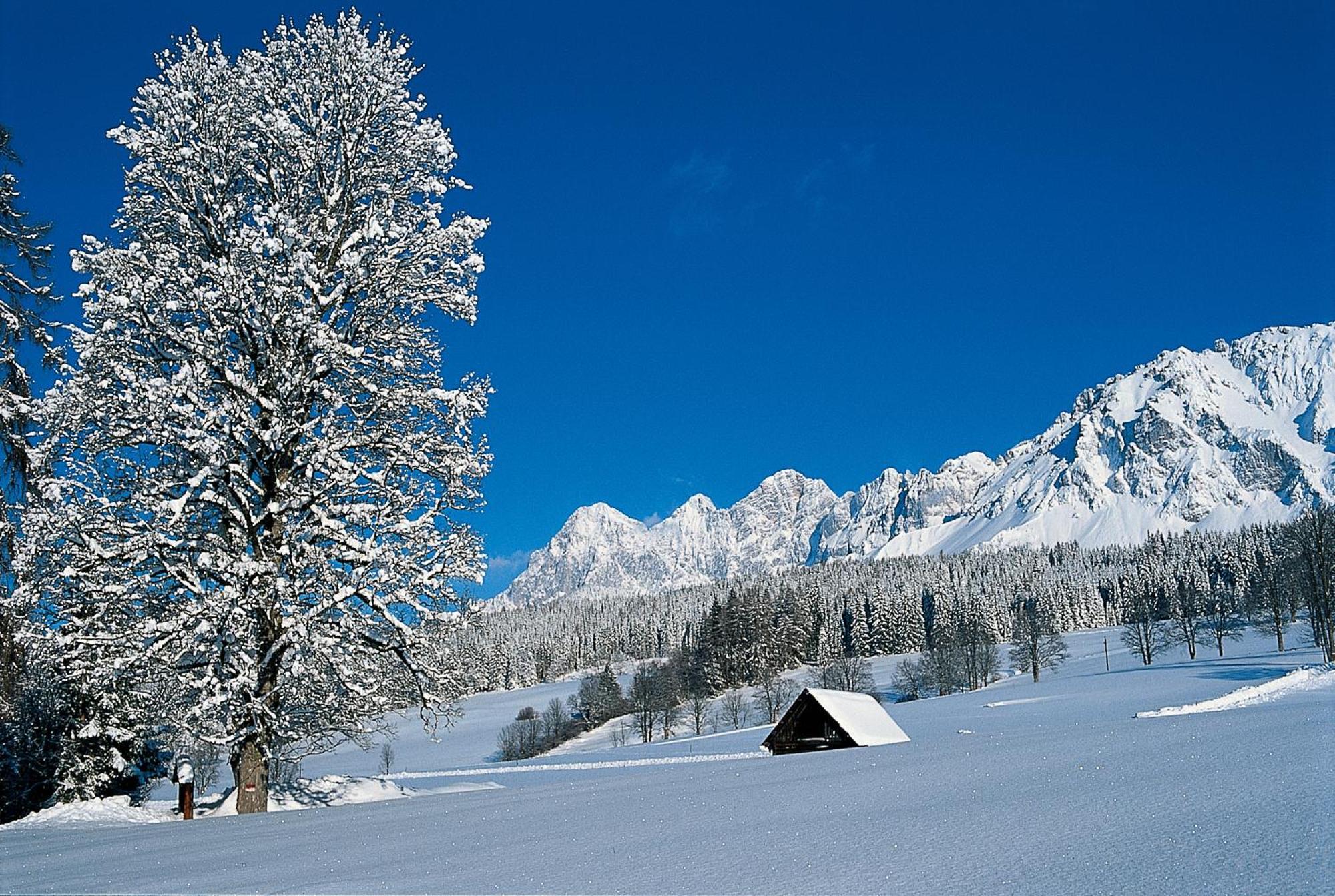 Hotel Matschner Ramsau am Dachstein Extérieur photo