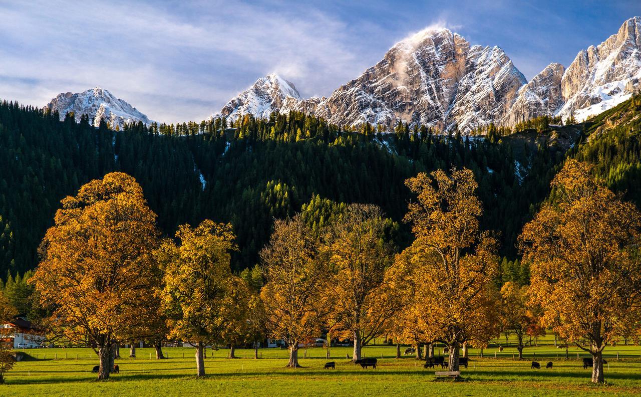 Hotel Matschner Ramsau am Dachstein Extérieur photo